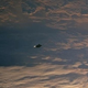 Illustration for article titled Did NASA delete evidence of UFOs from its photo archive?